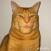 avishka_47