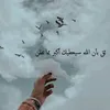 omshahad641