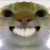 minluudan10