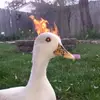 justoneboringperson
