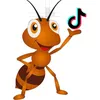 ant_colony2024