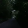 dxxx0.p