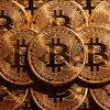 cryptobug8888888