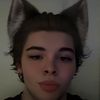 femboymaxverstappen