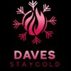 daves.d.stallion