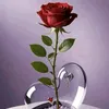 aramblbas88