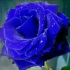 user3587161123505