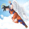 account_db