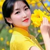 hoa.hong.giay.66k1