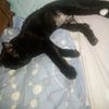 alex_1920492