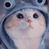 thichthidiiii_99.tn