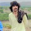 farzanwazir1