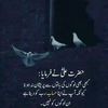 muhammadirfan55070