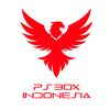 PS BOX INDONESIA