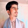 arain.474