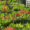 mads_240506