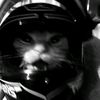 fluffyteams3