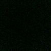 nemartomorpha_