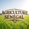 agriculture.sn