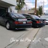fernandomunoz247