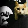as_shishaniy