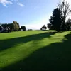 bigmickey594