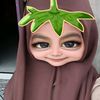 silfiraarsyisair