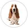 HUSH PUPPIES