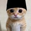 abdullah118_