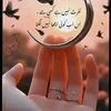 noorjani55365