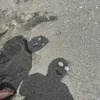iceangrickpick