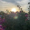 gem_ini_7777777