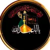 my._z19