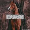 amoon.alruwaili