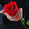 alshrarifaisal