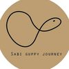 sabiguppyjourney