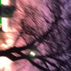 ramdom_spam576