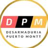 desarmaduria DPM