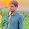 shazi_wzr4455