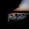 quynhtram20