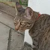 ihghhhh_1