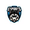vipesports18
