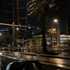 shamhav_