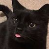 cacaaaaaaa204