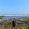 layi2511