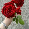 manoquee298