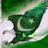khanwali98484