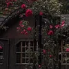 ha14__0