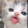 44beellll_