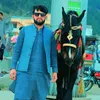 zonihunyar